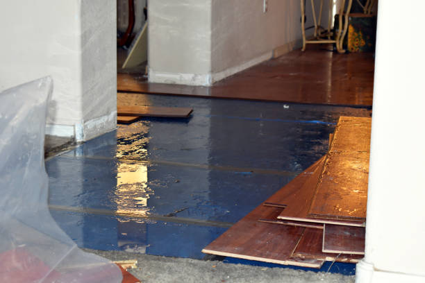 Professional Basement Flood Cleanup technician working in Alba, MO